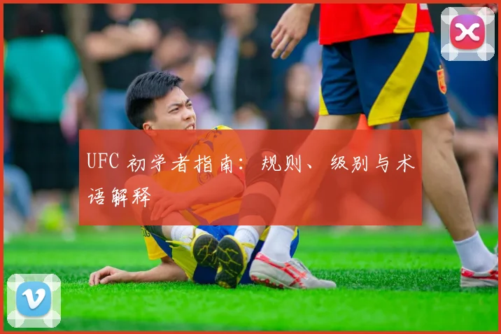 UFC 初学者指南:规则、级别与术语解释