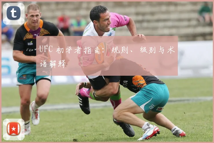 UFC 初学者指南:规则、级别与术语解释
