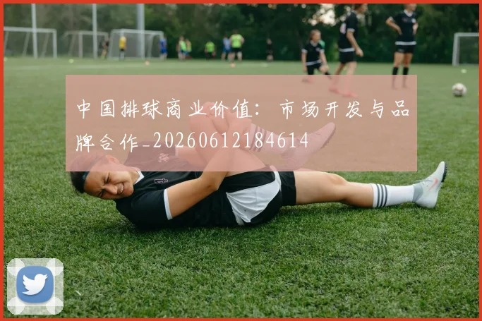 中国排球商业价值:市场开发与品牌合作_20260612184614
