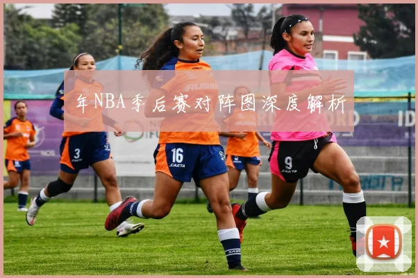 年NBA季后赛对阵图深度解析