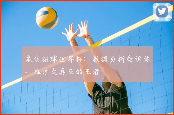 聚焦排球世界杯:数据分析告诉你,谁才是真正的王者